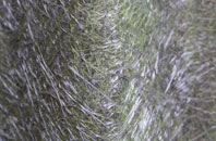 Bossington fibreglass roof work